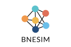 BNSIM