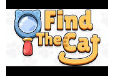 Find The Cat
